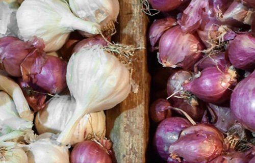 Onion and Garlic Ingredients