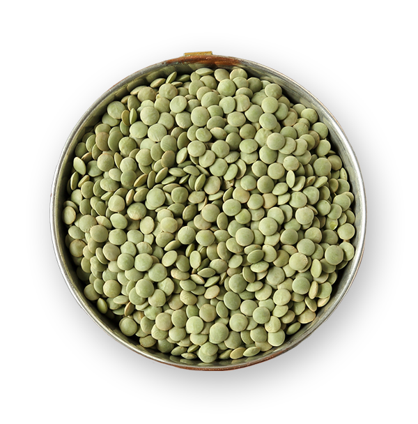 Planted based grains