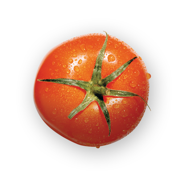 tomato