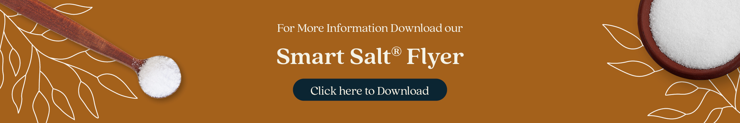 Smart Salt call to action with more information