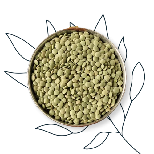 Green Letils over Leaves Lentils in a bowl on top of a leaf