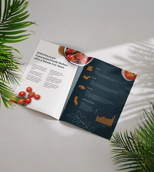 Tomato Market Report Market report for tomato flat lay