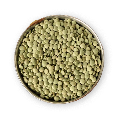 Plant-Based Ingredients Plant-Based Ingredients