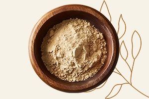 Dried ginger market report