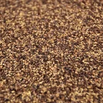 Black_Pepper_Close_Up black pepper close up