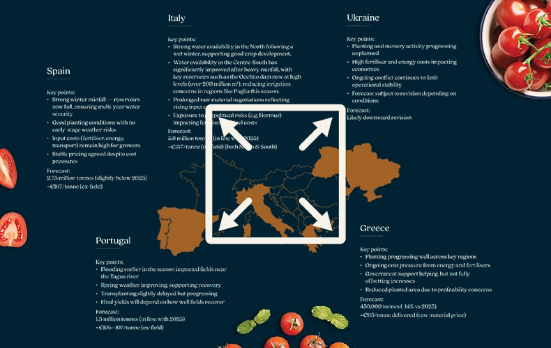 worldwide map showing tomato origins