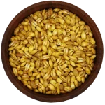 Pearl barley in a bowl